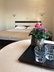 Hotel Eden Blue poza 6