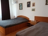 Pensiunea Casa Delfinul Alb poza 6