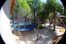 Complex Turistic Casa Leul, poza 11