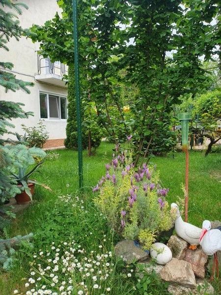 Vila Negru, cazare Costinesti