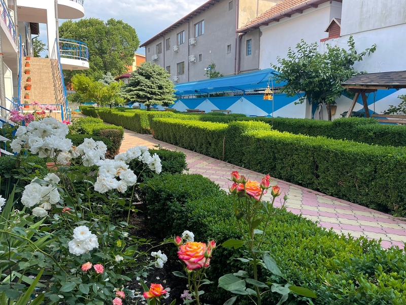 Vila Tanase, cazare Costinesti