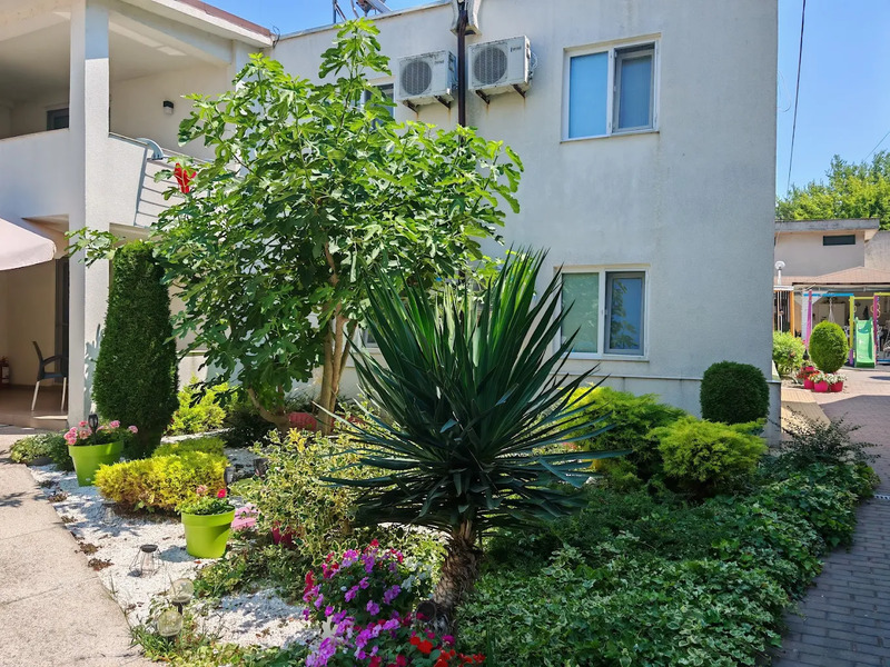 Vila Vanessa, cazare Venus