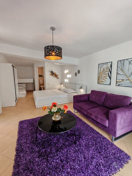 Vila Vanessa, cazare Venus